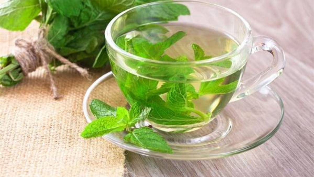 إفادتي فوائد النعناع المغلي: صيدلية منزلية مذهلة لصحة الجسم والأعصاب فوائد النعناع المغلي