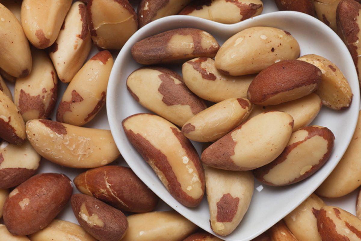 إفادتي دليل فوائد الجوز البرازيلي: كيف تستفيد منه بأمان فوائد الجوز البرازيلي